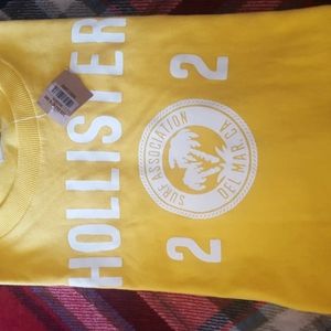 Hollister T shirt